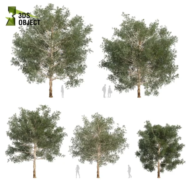 3d bush plant models botanical Visualization Landscape Foliage Vegetation buy purchase Rendering Environment tree Design high low poly greenhouse balcony decorative hamedorea 3D architectural visualization cinema 4d 3ds max blender enscpae fbx obj Rhino Sketchup lumion eucalyptus grandis