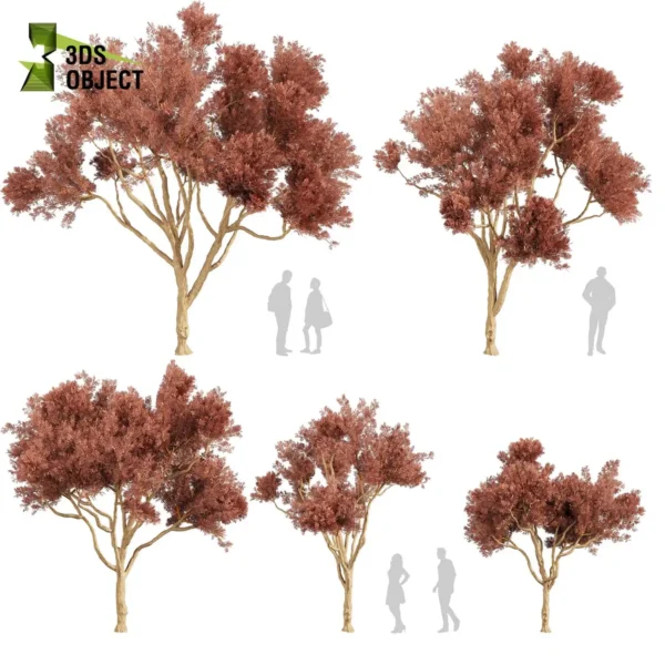 3d bush plant models botanical Visualization Landscape Foliage Vegetation buy purchase Rendering Environment tree Design high low poly greenhouse balcony decorative hamedorea 3D architectural visualization cinema 4d 3ds max blender enscpae fbx obj Rhino Sketchup lumion eucalyptus leucoxylon