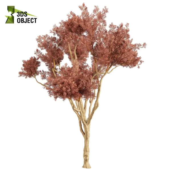 3d bush plant models botanical Visualization Landscape Foliage Vegetation buy purchase Rendering Environment tree Design high low poly greenhouse balcony decorative hamedorea 3D architectural visualization cinema 4d 3ds max blender enscpae fbx obj Rhino Sketchup lumion eucalyptus leucoxylon