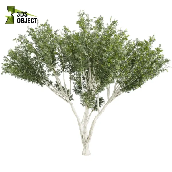 3d bush plant models botanical Visualization Landscape Foliage Vegetation buy purchase Rendering Environment tree Design high low poly greenhouse balcony decorative hamedorea 3D architectural visualization cinema 4d 3ds max blender enscpae fbx obj Rhino Sketchup lumion eucalyptus viminalis