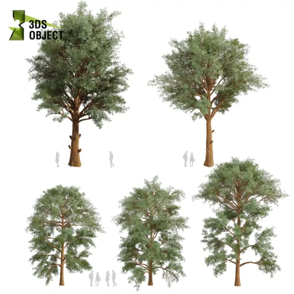 3d bush plant models botanical Visualization Landscape Foliage Vegetation buy purchase Rendering Environment tree Design high low poly greenhouse balcony decorative hamedorea 3D architectural visualization cinema 4d 3ds max blender enscpae fbx obj Rhino Sketchup lumion eucalyptus macarthurii