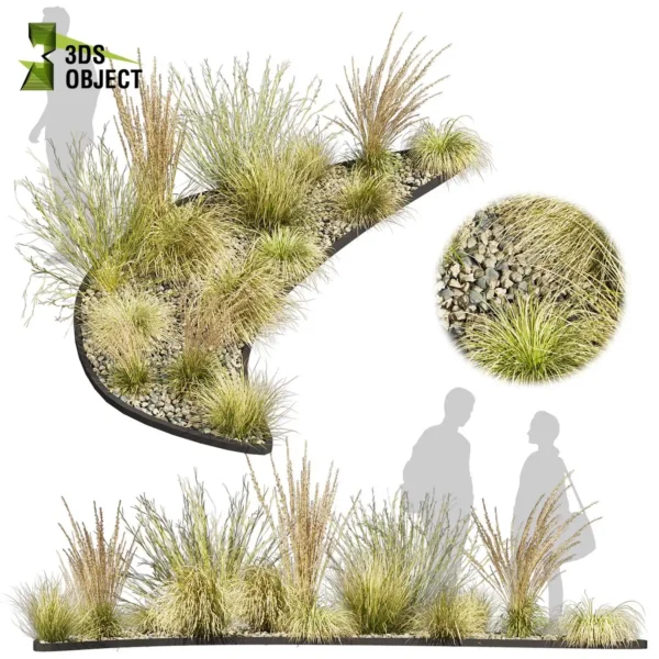 3d bush plant models botanical Visualization Landscape Foliage Vegetation buy purchase Rendering Environment tree Design high low poly greenhouse balcony decorative hamedorea 3D architectural visualization cinema 4d 3ds max blender enscpae fbx obj Rhino Sketchup lumion garden grass calamagrostis hyparrhenia filipendula carex