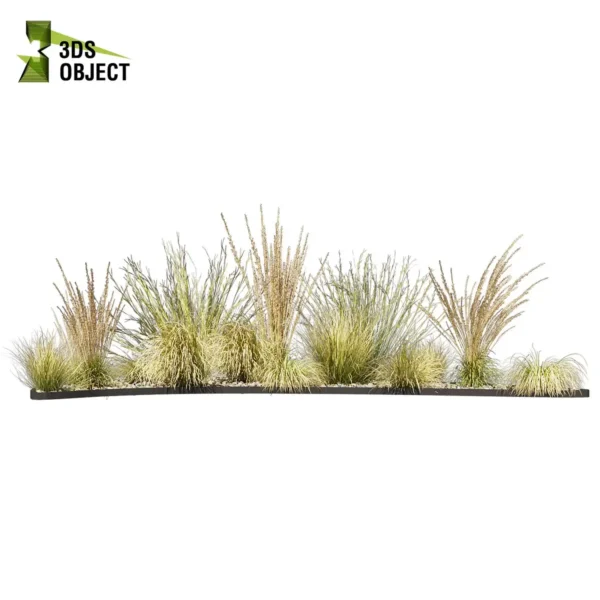 3d bush plant models botanical Visualization Landscape Foliage Vegetation buy purchase Rendering Environment tree Design high low poly greenhouse balcony decorative hamedorea 3D architectural visualization cinema 4d 3ds max blender enscpae fbx obj Rhino Sketchup lumion garden grass calamagrostis hyparrhenia filipendula carex