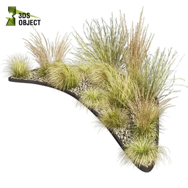 3d bush plant models botanical Visualization Landscape Foliage Vegetation buy purchase Rendering Environment tree Design high low poly greenhouse balcony decorative hamedorea 3D architectural visualization cinema 4d 3ds max blender enscpae fbx obj Rhino Sketchup lumion garden grass calamagrostis hyparrhenia filipendula carex