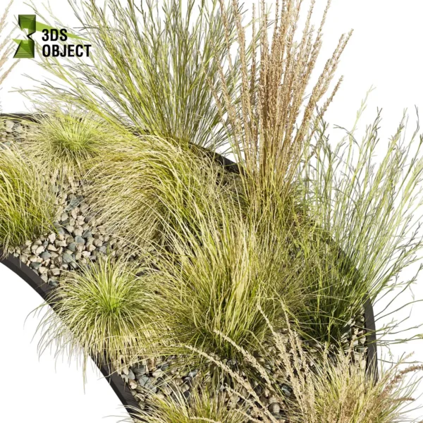 3d bush plant models botanical Visualization Landscape Foliage Vegetation buy purchase Rendering Environment tree Design high low poly greenhouse balcony decorative hamedorea 3D architectural visualization cinema 4d 3ds max blender enscpae fbx obj Rhino Sketchup lumion garden grass calamagrostis hyparrhenia filipendula carex