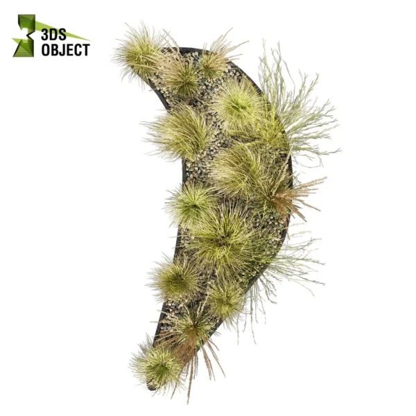 3d bush plant models botanical Visualization Landscape Foliage Vegetation buy purchase Rendering Environment tree Design high low poly greenhouse balcony decorative hamedorea 3D architectural visualization cinema 4d 3ds max blender enscpae fbx obj Rhino Sketchup lumion garden grass calamagrostis hyparrhenia filipendula carex