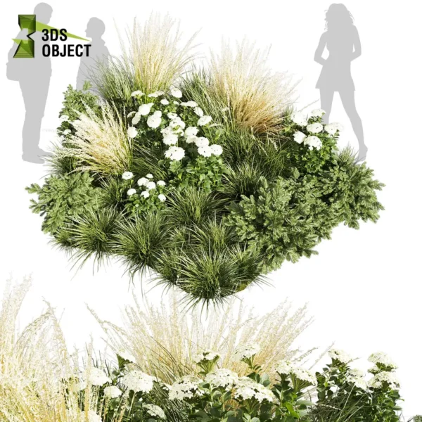 3d bush plant models botanical Visualization Landscape Foliage Vegetation buy purchase Rendering Environment tree Design high low poly greenhouse balcony decorative hamedorea 3D architectural visualization cinema 4d 3ds max blender enscpae fbx obj Rhino Sketchup lumion abies grass hyparrhenia pampas garden
