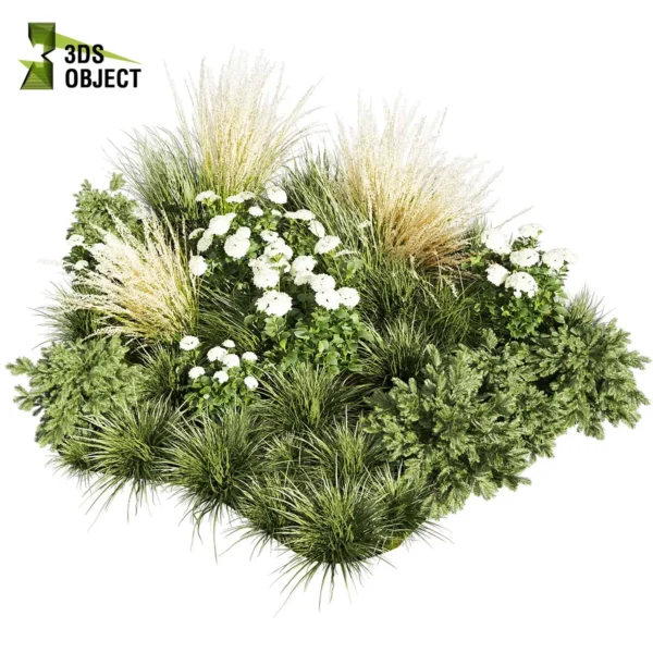 3d bush plant models botanical Visualization Landscape Foliage Vegetation buy purchase Rendering Environment tree Design high low poly greenhouse balcony decorative hamedorea 3D architectural visualization cinema 4d 3ds max blender enscpae fbx obj Rhino Sketchup lumion abies grass hyparrhenia pampas garden