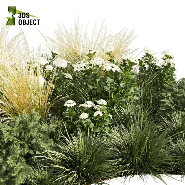 3d bush plant models botanical Visualization Landscape Foliage Vegetation buy purchase Rendering Environment tree Design high low poly greenhouse balcony decorative hamedorea 3D architectural visualization cinema 4d 3ds max blender enscpae fbx obj Rhino Sketchup lumion abies grass hyparrhenia pampas garden