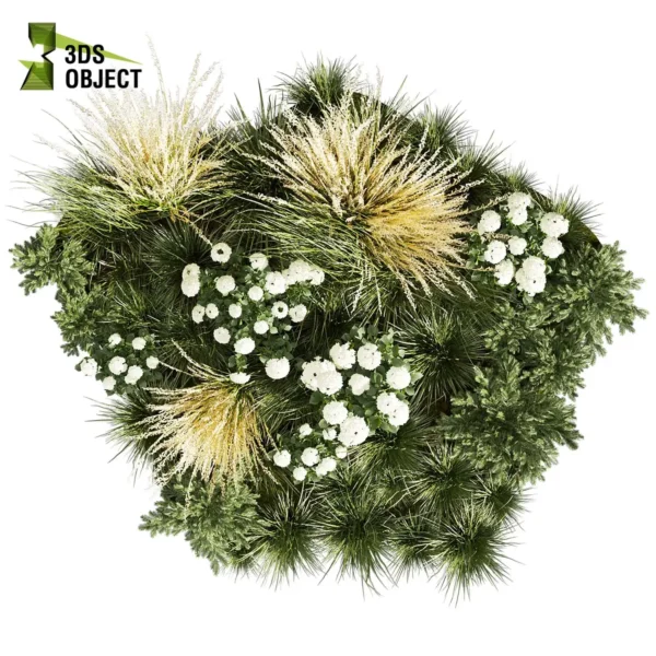 3d bush plant models botanical Visualization Landscape Foliage Vegetation buy purchase Rendering Environment tree Design high low poly greenhouse balcony decorative hamedorea 3D architectural visualization cinema 4d 3ds max blender enscpae fbx obj Rhino Sketchup lumion abies grass hyparrhenia pampas garden