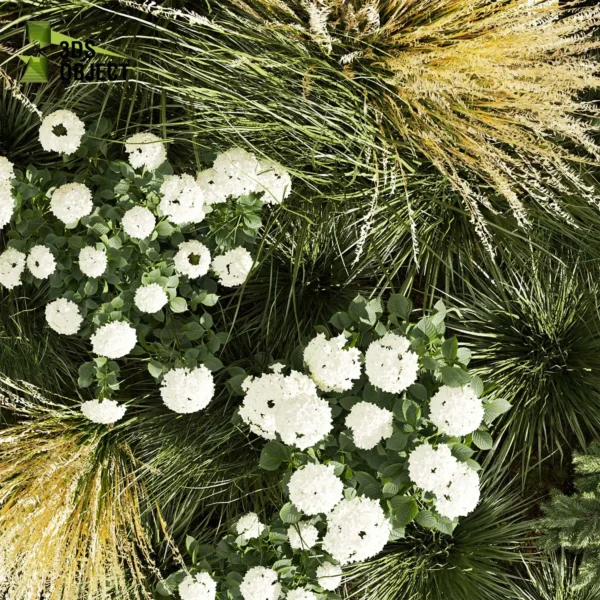 3d bush plant models botanical Visualization Landscape Foliage Vegetation buy purchase Rendering Environment tree Design high low poly greenhouse balcony decorative hamedorea 3D architectural visualization cinema 4d 3ds max blender enscpae fbx obj Rhino Sketchup lumion abies grass hyparrhenia pampas garden