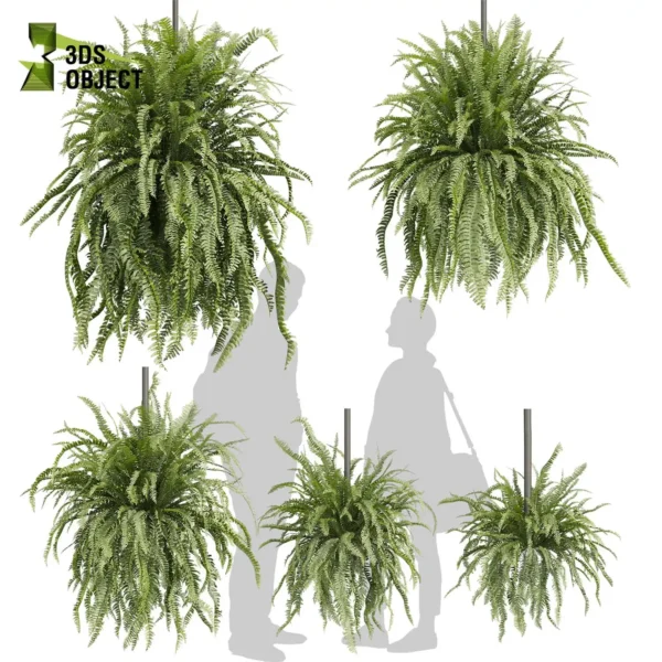 Fern Lady Hanging Plant Model