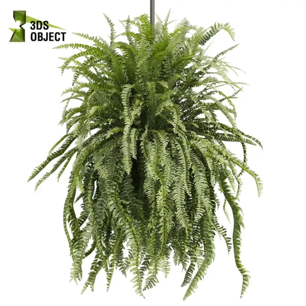 3d bush plant models botanical Visualization Landscape Foliage Vegetation buy purchase Rendering Environment tree Design high low poly greenhouse balcony decorative hamedorea 3D architectural visualization cinema 4d 3ds max blender enscpae fbx obj Rhino Sketchup lumion fern lady hanging ampelous