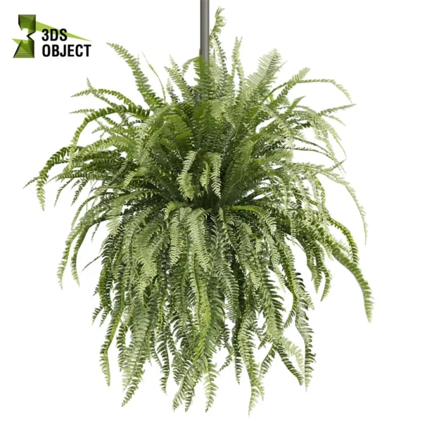 3d bush plant models botanical Visualization Landscape Foliage Vegetation buy purchase Rendering Environment tree Design high low poly greenhouse balcony decorative hamedorea 3D architectural visualization cinema 4d 3ds max blender enscpae fbx obj Rhino Sketchup lumion fern lady hanging ampelous