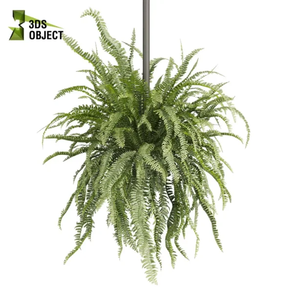 3d bush plant models botanical Visualization Landscape Foliage Vegetation buy purchase Rendering Environment tree Design high low poly greenhouse balcony decorative hamedorea 3D architectural visualization cinema 4d 3ds max blender enscpae fbx obj Rhino Sketchup lumion fern lady hanging ampelous