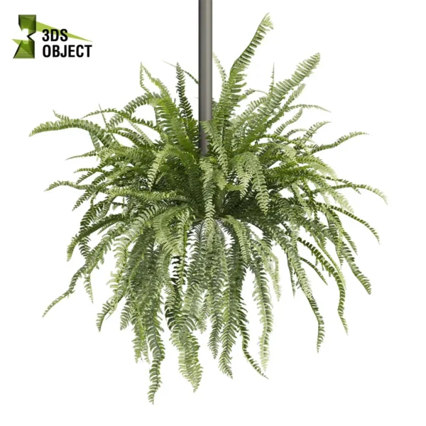 3d bush plant models botanical Visualization Landscape Foliage Vegetation buy purchase Rendering Environment tree Design high low poly greenhouse balcony decorative hamedorea 3D architectural visualization cinema 4d 3ds max blender enscpae fbx obj Rhino Sketchup lumion fern lady hanging ampelous