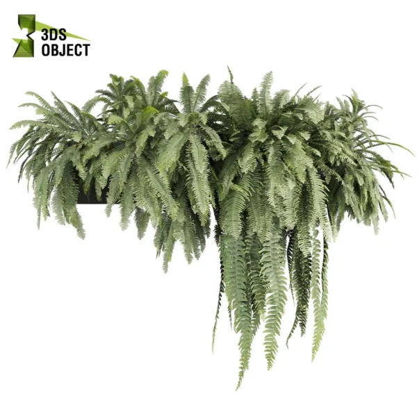 3d bush plant models botanical Visualization Landscape Foliage Vegetation buy purchase Rendering Environment tree Design high low poly greenhouse balcony decorative hamedorea 3D architectural visualization cinema 4d 3ds max blender enscpae fbx obj Rhino Sketchup lumion fern lady box ampelous