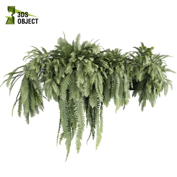 3d bush plant models botanical Visualization Landscape Foliage Vegetation buy purchase Rendering Environment tree Design high low poly greenhouse balcony decorative hamedorea 3D architectural visualization cinema 4d 3ds max blender enscpae fbx obj Rhino Sketchup lumion fern lady box ampelous