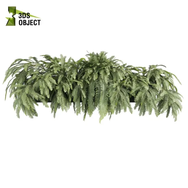 3d bush plant models botanical Visualization Landscape Foliage Vegetation buy purchase Rendering Environment tree Design high low poly greenhouse balcony decorative hamedorea 3D architectural visualization cinema 4d 3ds max blender enscpae fbx obj Rhino Sketchup lumion fern lady box ampelous