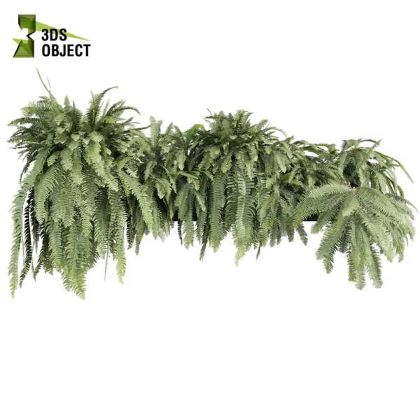 3d bush plant models botanical Visualization Landscape Foliage Vegetation buy purchase Rendering Environment tree Design high low poly greenhouse balcony decorative hamedorea 3D architectural visualization cinema 4d 3ds max blender enscpae fbx obj Rhino Sketchup lumion fern lady box ampelous