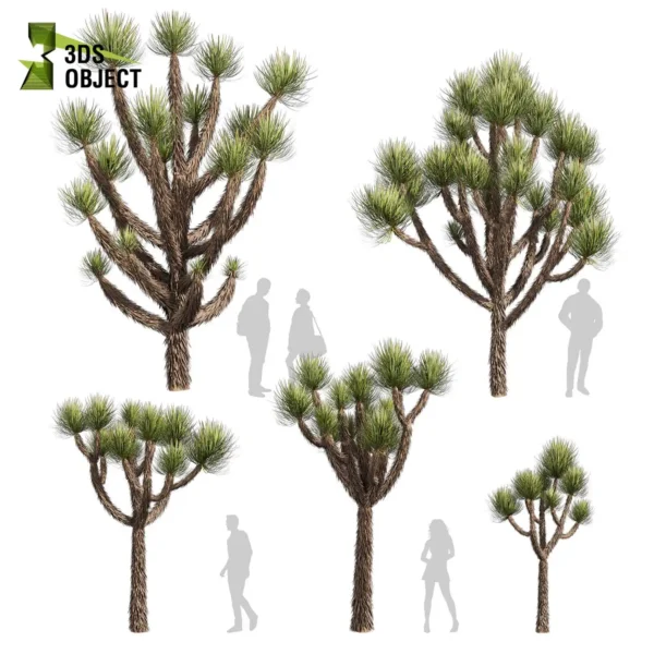 Yucca Brevifolia Tree 3D Model
