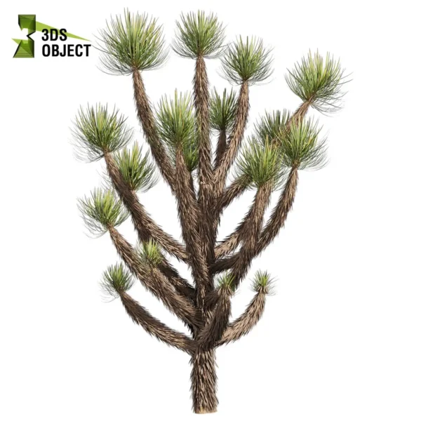 3d bush plant models botanical Visualization Landscape Foliage Vegetation buy purchase Rendering Environment tree Design high low poly greenhouse balcony decorative hamedorea 3D architectural visualization cinema 4d 3ds max blender enscpae fbx obj Rhino Sketchup lumion yucca brevifolia