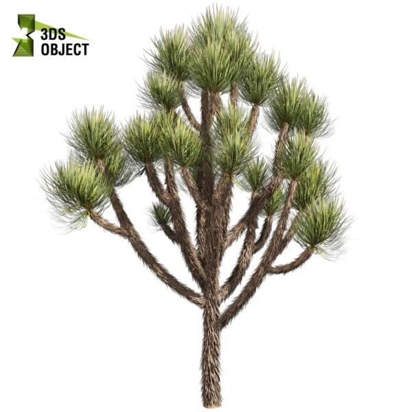 3d bush plant models botanical Visualization Landscape Foliage Vegetation buy purchase Rendering Environment tree Design high low poly greenhouse balcony decorative hamedorea 3D architectural visualization cinema 4d 3ds max blender enscpae fbx obj Rhino Sketchup lumion yucca brevifolia