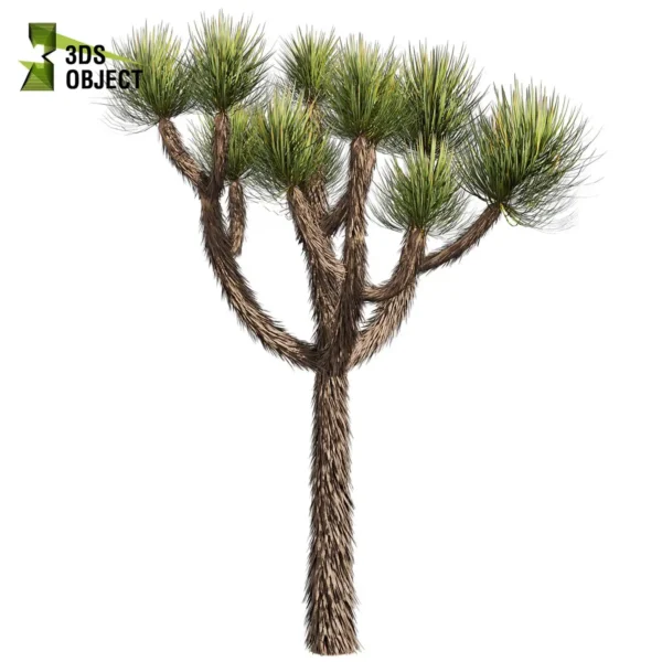 3d bush plant models botanical Visualization Landscape Foliage Vegetation buy purchase Rendering Environment tree Design high low poly greenhouse balcony decorative hamedorea 3D architectural visualization cinema 4d 3ds max blender enscpae fbx obj Rhino Sketchup lumion yucca brevifolia
