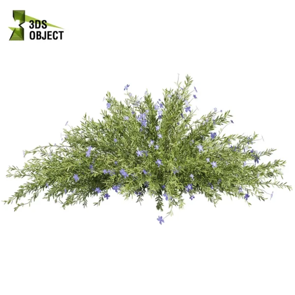3d bush plant models botanical Visualization Landscape Foliage Vegetation buy purchase Rendering Environment tree Design high low poly greenhouse balcony decorative hamedorea 3D architectural visualization cinema 4d 3ds max blender enscpae fbx obj Rhino Sketchup lechenaultia biloba shurb