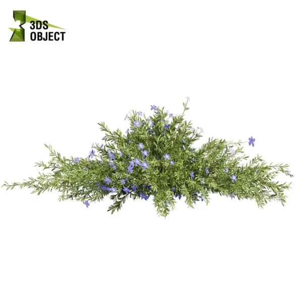3d bush plant models botanical Visualization Landscape Foliage Vegetation buy purchase Rendering Environment tree Design high low poly greenhouse balcony decorative hamedorea 3D architectural visualization cinema 4d 3ds max blender enscpae fbx obj Rhino Sketchup lechenaultia biloba shurb