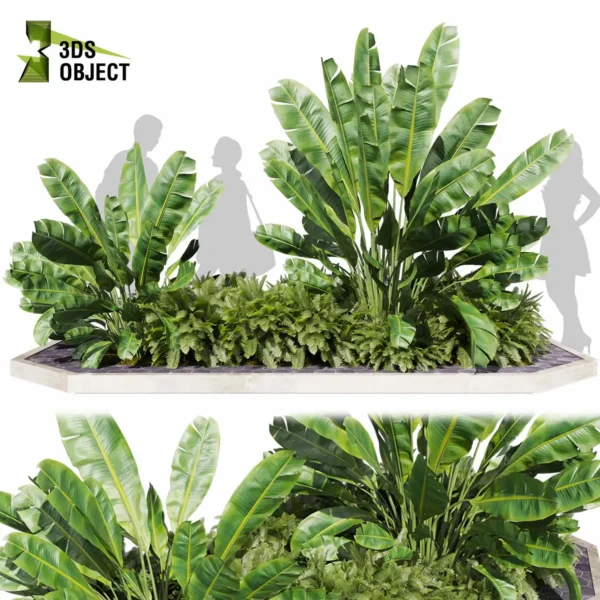 3d bush plant models botanical Visualization Landscape Foliage Vegetation buy purchase Rendering Environment tree Design high low poly greenhouse balcony decorative hamedorea 3D architectural visualization cinema 4d 3ds max blender enscpae fbx obj Rhino Sketchup banana fern garden
