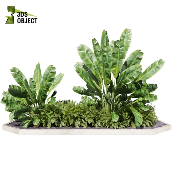 3d bush plant models botanical Visualization Landscape Foliage Vegetation buy purchase Rendering Environment tree Design high low poly greenhouse balcony decorative hamedorea 3D architectural visualization cinema 4d 3ds max blender enscpae fbx obj Rhino Sketchup banana fern garden