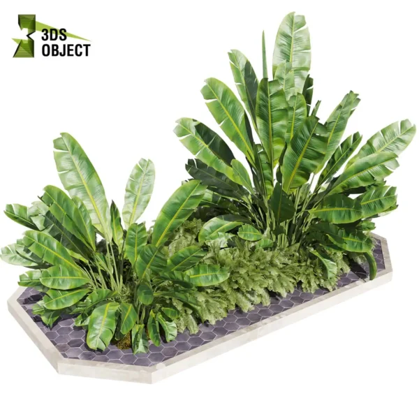 3d bush plant models botanical Visualization Landscape Foliage Vegetation buy purchase Rendering Environment tree Design high low poly greenhouse balcony decorative hamedorea 3D architectural visualization cinema 4d 3ds max blender enscpae fbx obj Rhino Sketchup banana fern garden