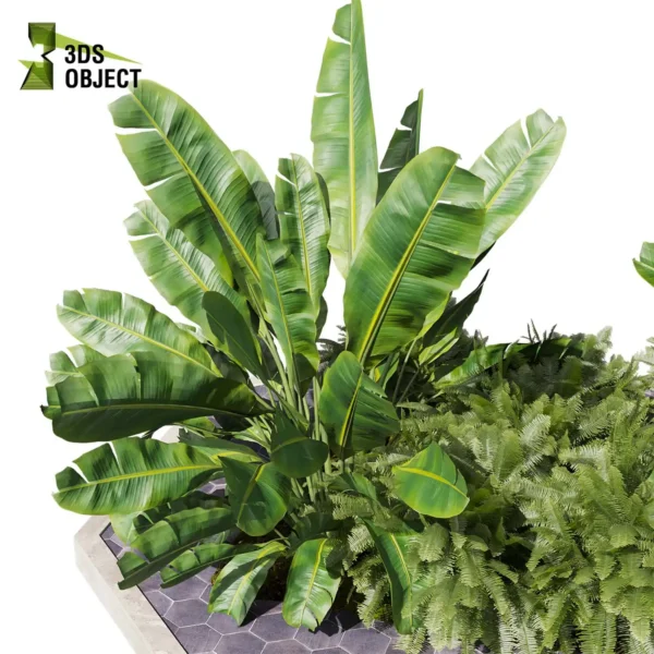3d bush plant models botanical Visualization Landscape Foliage Vegetation buy purchase Rendering Environment tree Design high low poly greenhouse balcony decorative hamedorea 3D architectural visualization cinema 4d 3ds max blender enscpae fbx obj Rhino Sketchup banana fern garden