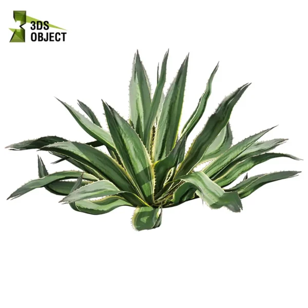 3d bush plant models botanical Visualization Landscape Foliage Vegetation buy purchase Rendering Environment tree Design high low poly greenhouse balcony decorative hamedorea 3D architectural visualization cinema 4d 3ds max blender enscpae fbx obj Rhino Sketchup huge aloe vera shurb