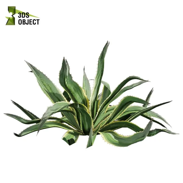 3d bush plant models botanical Visualization Landscape Foliage Vegetation buy purchase Rendering Environment tree Design high low poly greenhouse balcony decorative hamedorea 3D architectural visualization cinema 4d 3ds max blender enscpae fbx obj Rhino Sketchup huge aloe vera shurb