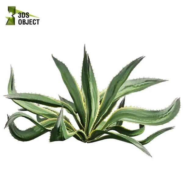 3d bush plant models botanical Visualization Landscape Foliage Vegetation buy purchase Rendering Environment tree Design high low poly greenhouse balcony decorative hamedorea 3D architectural visualization cinema 4d 3ds max blender enscpae fbx obj Rhino Sketchup huge aloe vera shurb