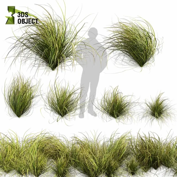 Grass & Carex Calamagrostis 3D Model