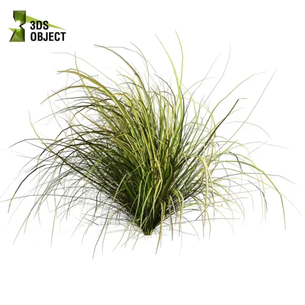 3d bush plant models botanical Visualization Landscape Foliage Vegetation buy purchase Rendering Environment tree Design high low poly greenhouse balcony decorative hamedorea 3D architectural visualization cinema 4d 3ds max blender enscpae fbx obj Rhino Sketchup lumion garden grass cymbopogon citratus west indian lemon