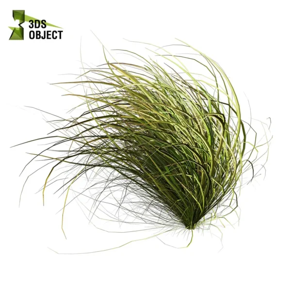 3d bush plant models botanical Visualization Landscape Foliage Vegetation buy purchase Rendering Environment tree Design high low poly greenhouse balcony decorative hamedorea 3D architectural visualization cinema 4d 3ds max blender enscpae fbx obj Rhino Sketchup lumion garden grass cymbopogon citratus west indian lemon