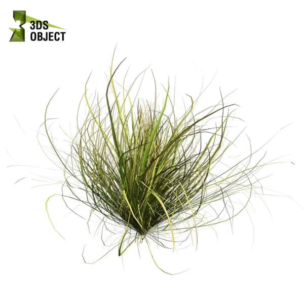 3d bush plant models botanical Visualization Landscape Foliage Vegetation buy purchase Rendering Environment tree Design high low poly greenhouse balcony decorative hamedorea 3D architectural visualization cinema 4d 3ds max blender enscpae fbx obj Rhino Sketchup lumion garden grass cymbopogon citratus west indian lemon