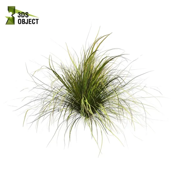 3d bush plant models botanical Visualization Landscape Foliage Vegetation buy purchase Rendering Environment tree Design high low poly greenhouse balcony decorative hamedorea 3D architectural visualization cinema 4d 3ds max blender enscpae fbx obj Rhino Sketchup lumion garden grass cymbopogon citratus west indian lemon