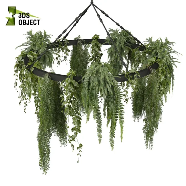 3d bush plant models botanical Visualization Landscape Foliage Vegetation buy purchase Rendering Environment tree Design high low poly greenhouse balcony decorative hamedorea 3D architectural visualization cinema 4d 3ds max blender enscpae fbx obj Rhino Sketchup lumion fern lady hanging ampelous chandelier pothos