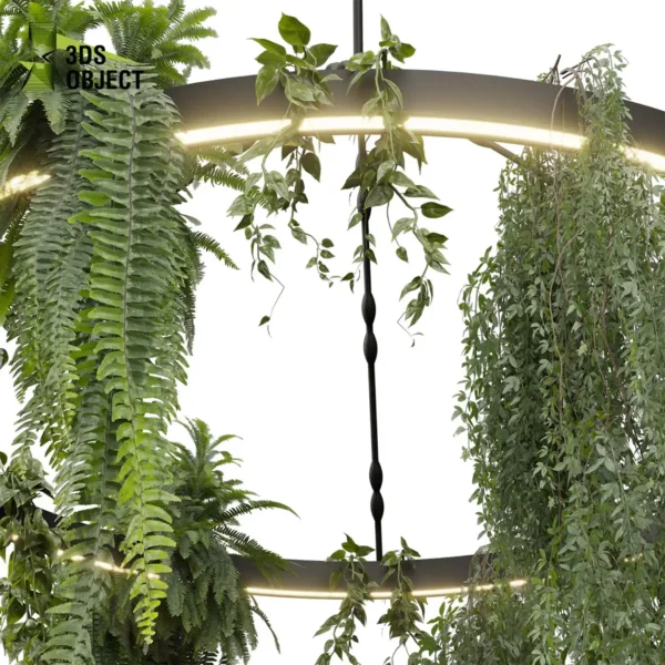 3d bush plant models botanical Visualization Landscape Foliage Vegetation buy purchase Rendering Environment tree Design high low poly greenhouse balcony decorative hamedorea 3D architectural visualization cinema 4d 3ds max blender enscpae fbx obj Rhino Sketchup lumion fern lady hanging ampelous chandelier pothos