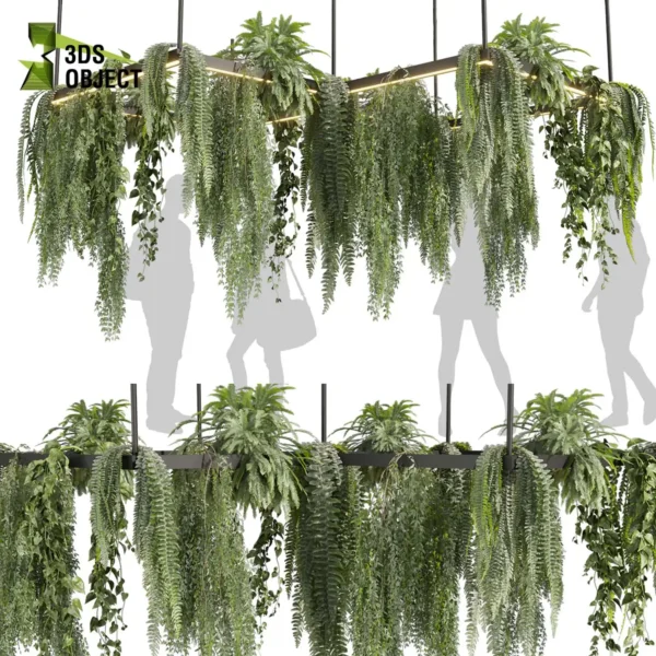 3d bush plant models botanical Visualization Landscape Foliage Vegetation buy purchase Rendering Environment tree Design high low poly greenhouse balcony decorative hamedorea 3D architectural visualization cinema 4d 3ds max blender enscpae fbx obj Rhino Sketchup lumion fern lady hanging ampelous chandelier pothos