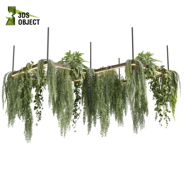 3d bush plant models botanical Visualization Landscape Foliage Vegetation buy purchase Rendering Environment tree Design high low poly greenhouse balcony decorative hamedorea 3D architectural visualization cinema 4d 3ds max blender enscpae fbx obj Rhino Sketchup lumion fern lady hanging ampelous chandelier pothos