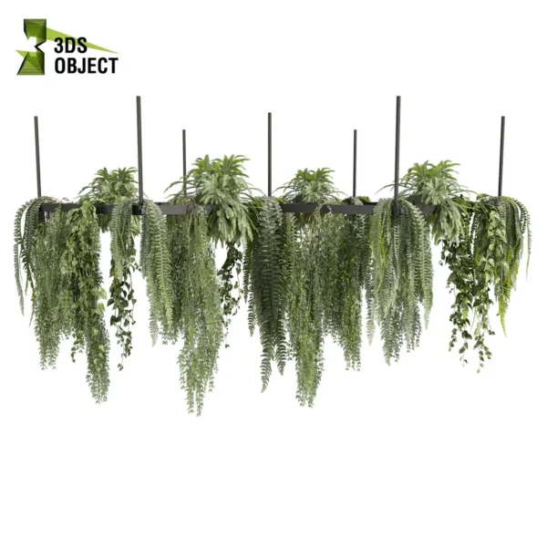 3d bush plant models botanical Visualization Landscape Foliage Vegetation buy purchase Rendering Environment tree Design high low poly greenhouse balcony decorative hamedorea 3D architectural visualization cinema 4d 3ds max blender enscpae fbx obj Rhino Sketchup lumion fern lady hanging ampelous chandelier pothos