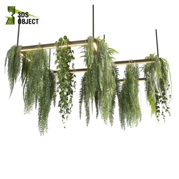 3d bush plant models botanical Visualization Landscape Foliage Vegetation buy purchase Rendering Environment tree Design high low poly greenhouse balcony decorative hamedorea 3D architectural visualization cinema 4d 3ds max blender enscpae fbx obj Rhino Sketchup lumion fern lady hanging ampelous chandelier pothos