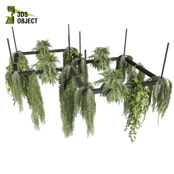 3d bush plant models botanical Visualization Landscape Foliage Vegetation buy purchase Rendering Environment tree Design high low poly greenhouse balcony decorative hamedorea 3D architectural visualization cinema 4d 3ds max blender enscpae fbx obj Rhino Sketchup lumion fern lady hanging ampelous chandelier pothos