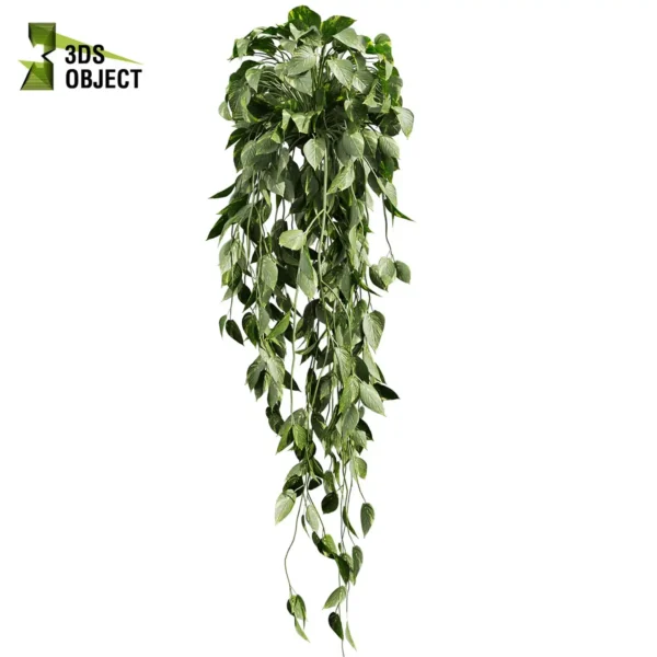 3d bush plant models botanical Visualization Landscape Foliage Vegetation buy purchase Rendering Environment tree Design high low poly greenhouse balcony decorative hamedorea 3D architectural visualization cinema 4d 3ds max blender enscpae fbx obj Rhino Sketchup lumion pothos ivy devils hanging araceae ampelous